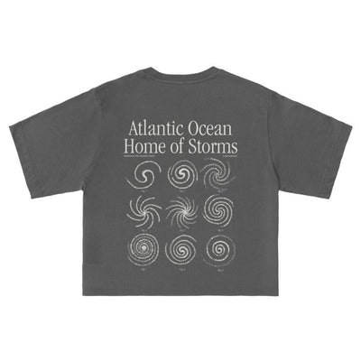 Latitud Fuego Womens Home of storms Cropped T-Shirt - Washed Black