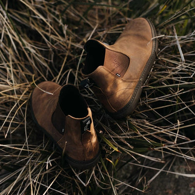 Wasted Talent | Globe - The Kalahari Dover - Dark Brown"