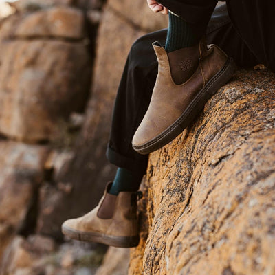 Wasted Talent | Globe - The Kalahari Dover - Dark Brown"