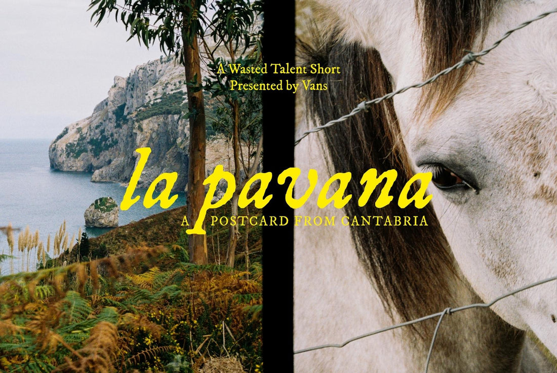 la pavana a wasted talent vans short film surfing 