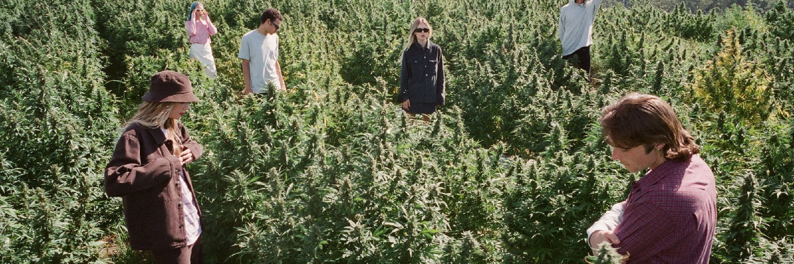 Sustainable Clothing, Organic Candles & Limestone Neoprene Wetsuits