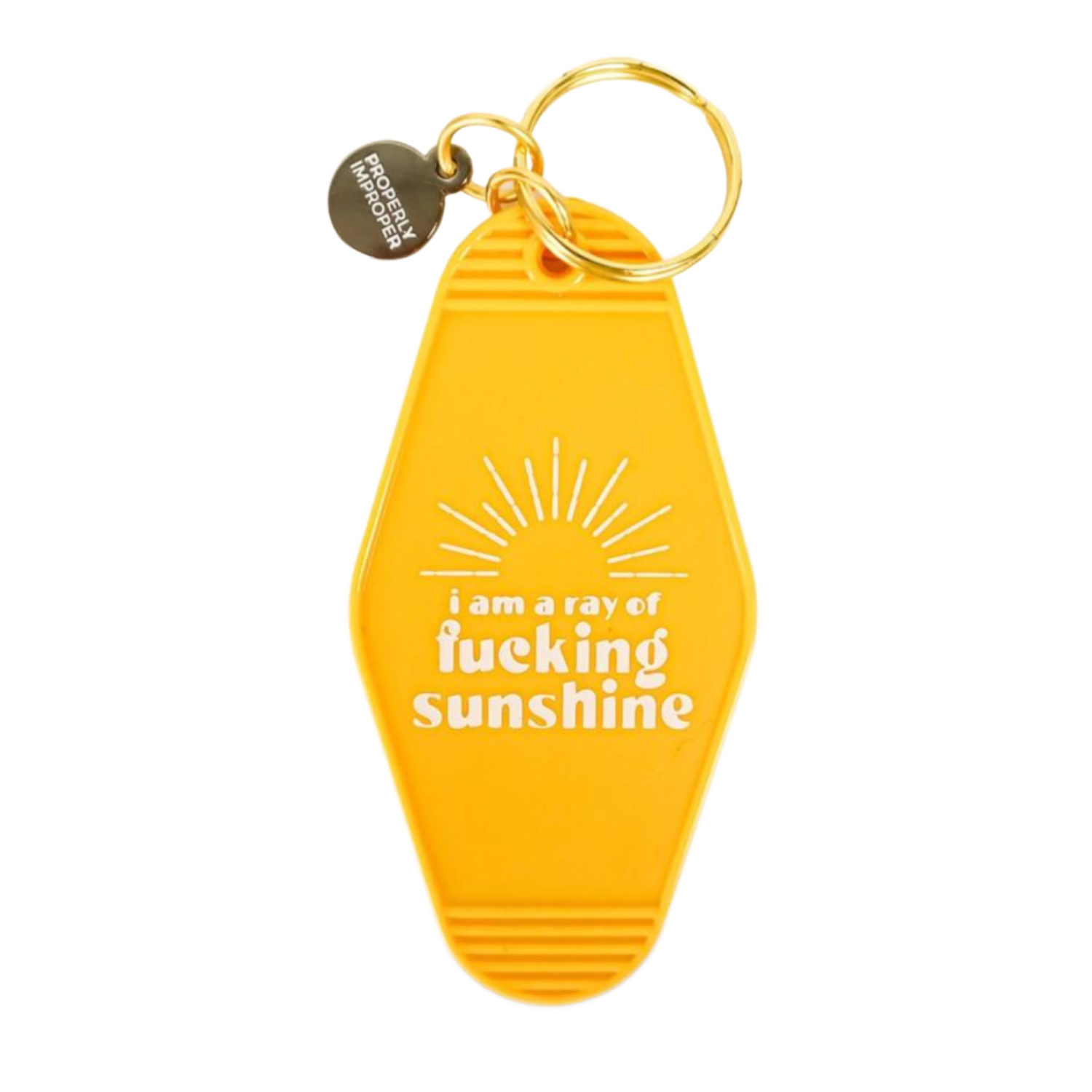 I Am A Ray Of Fucking Sunshine Key Chain