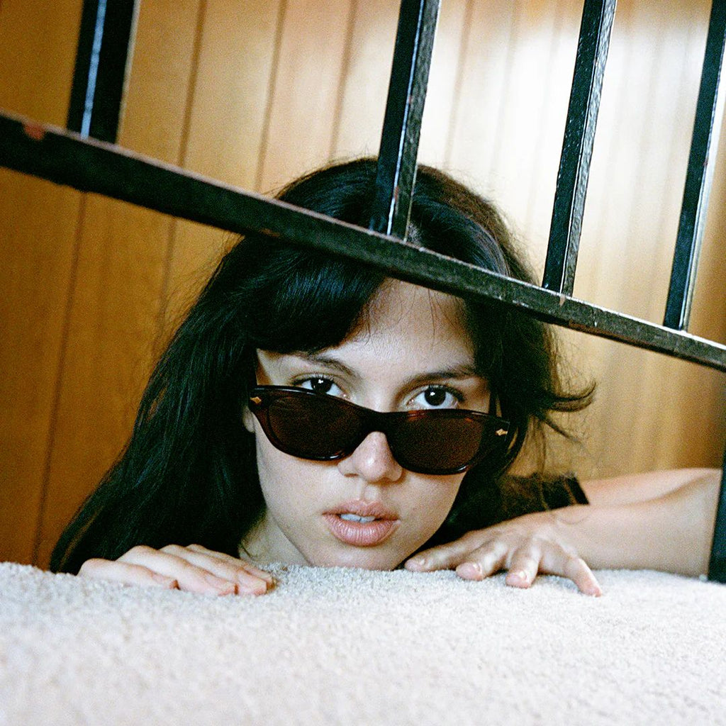 Frequency Sunglasses - Cola Polished / Black