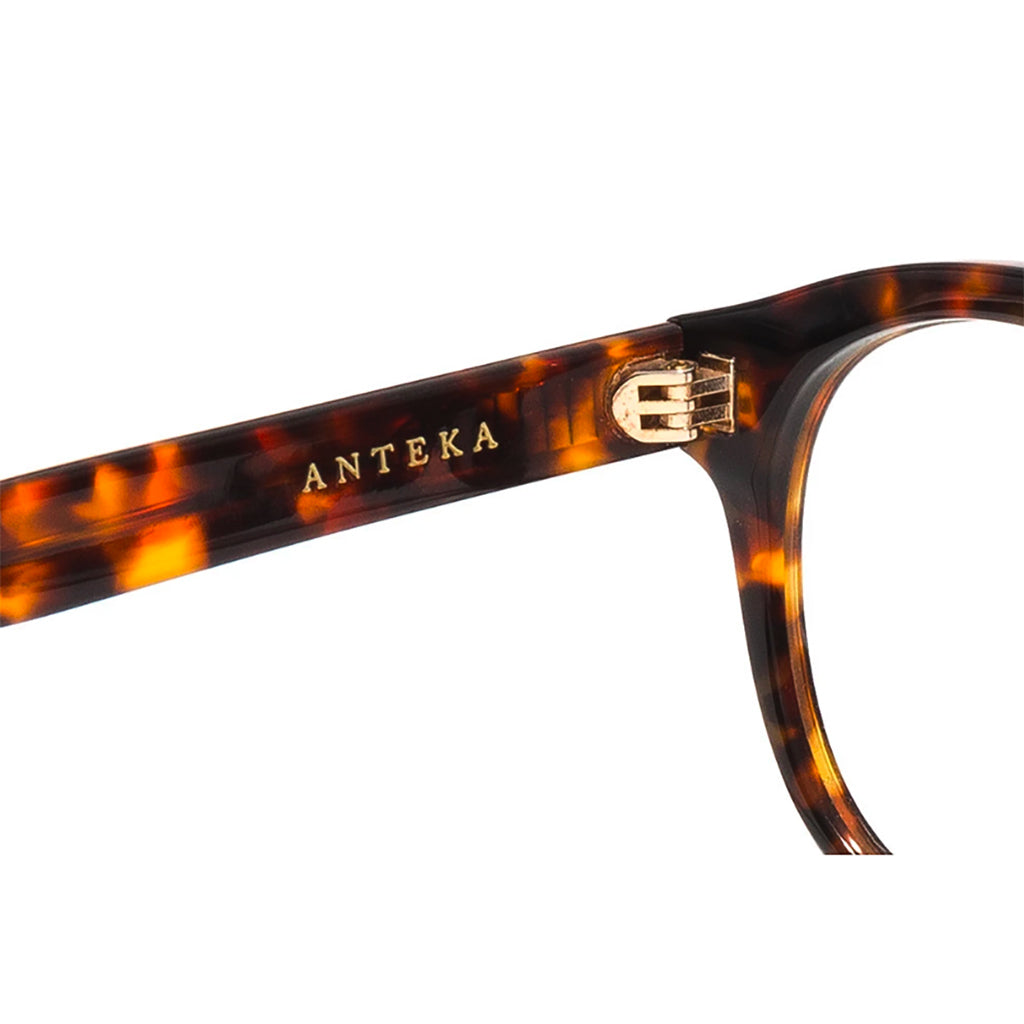 Epøkhe Anteka optical rx - Tortoise Gloss Gold