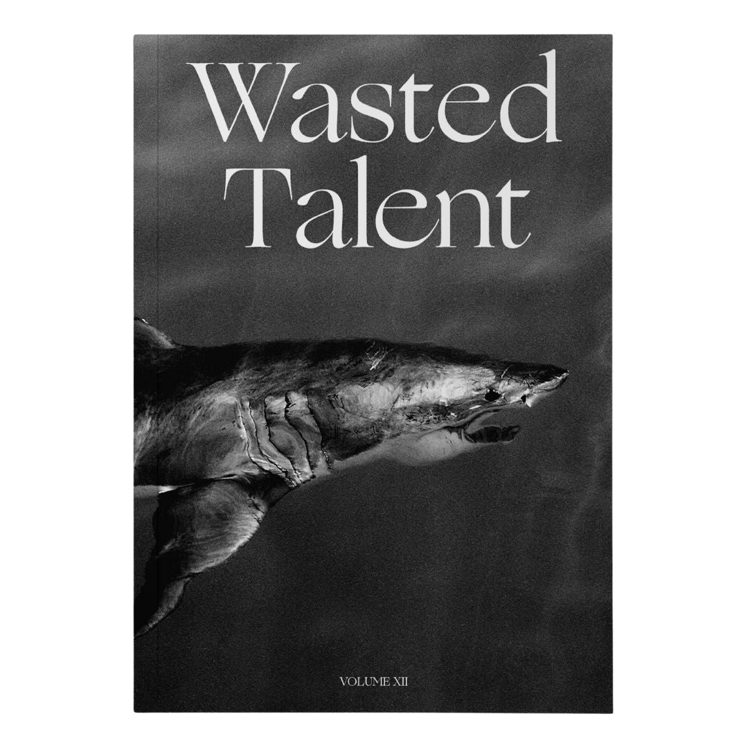 Wasted Talent Magazine Vol XII