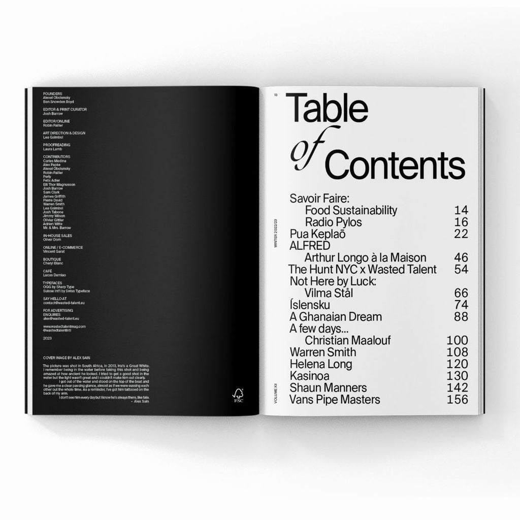 Wasted Talent Magazine Vol XII